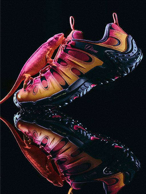 A chameleon blending in with colorful Merrell shoes.